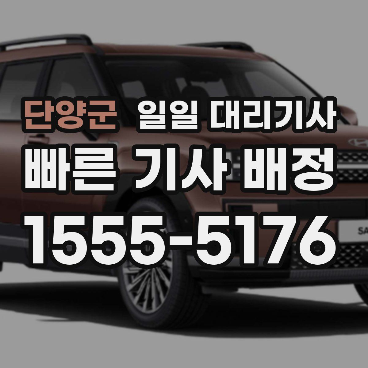 단양군 일일 대리기사
