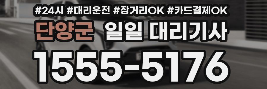 단양군 일일 대리기사