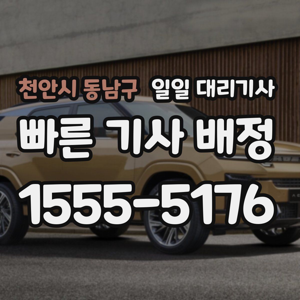 천안시 동남구 일일 대리기사