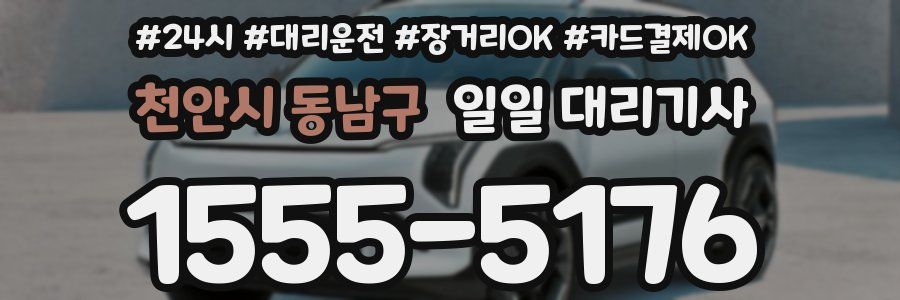 천안시 동남구 일일 대리기사