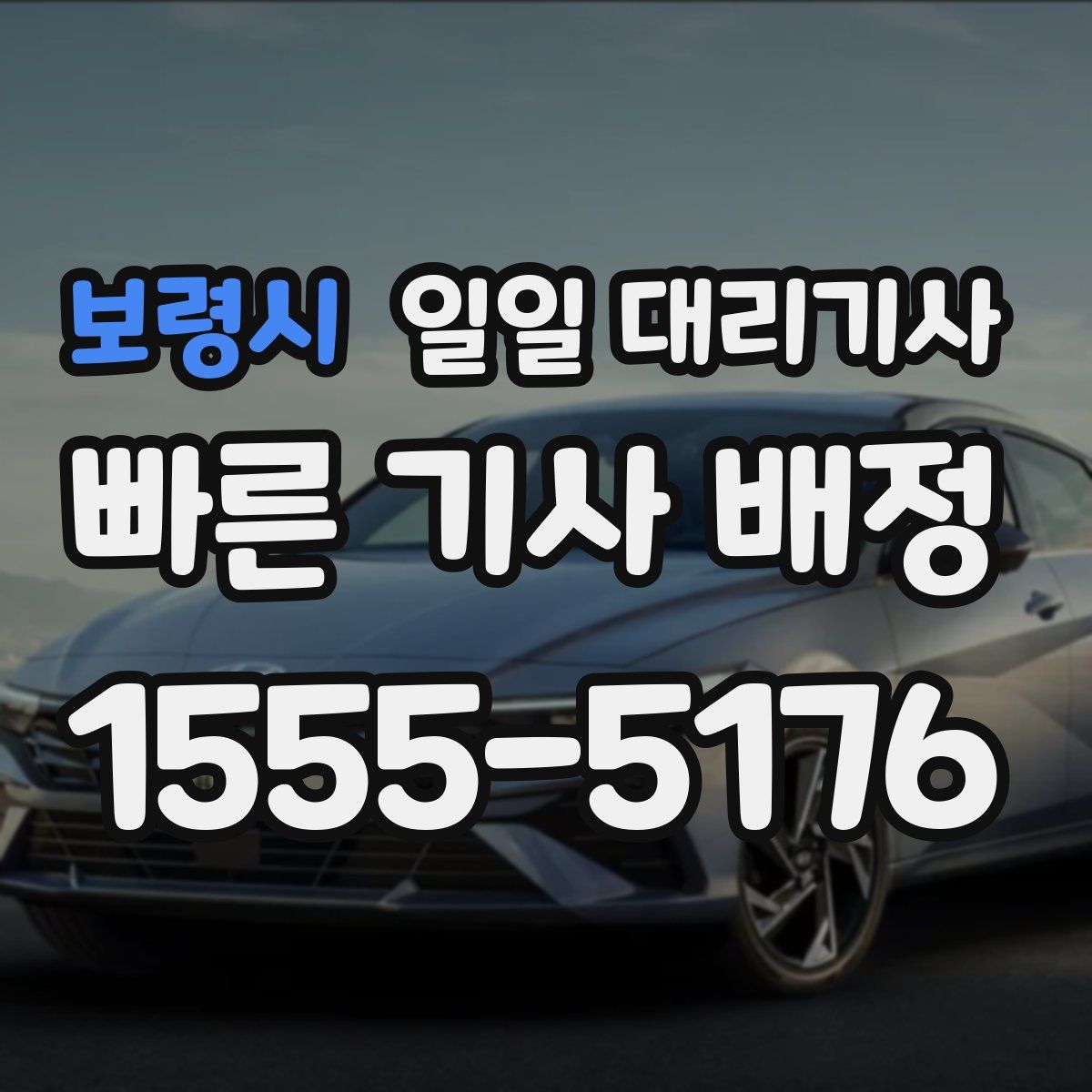 보령시 일일 대리기사