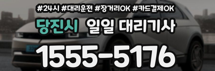 당진시 일일 대리기사