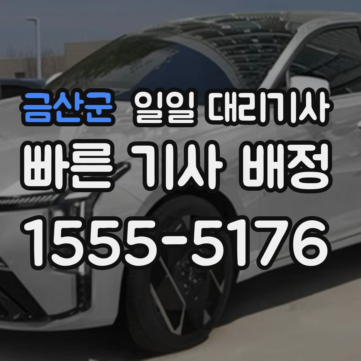 금산군 일일 대리기사