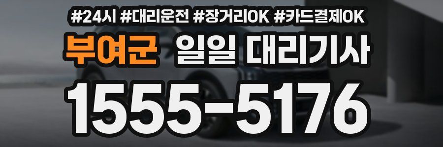 부여군 일일 대리기사