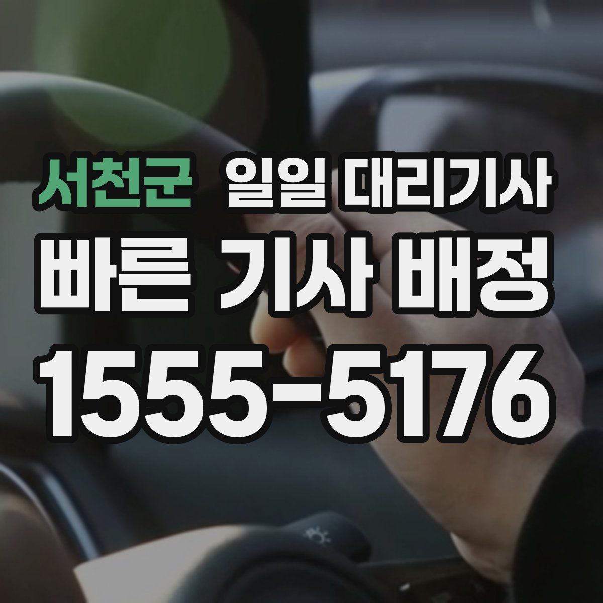 서천군 일일 대리기사
