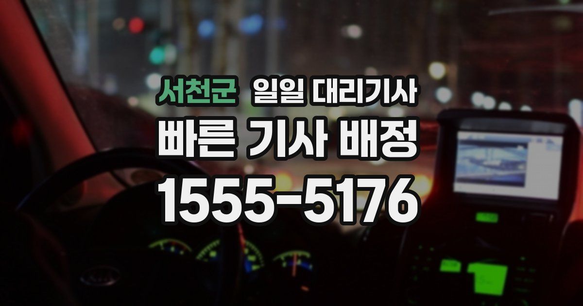 서천군 일일 대리기사