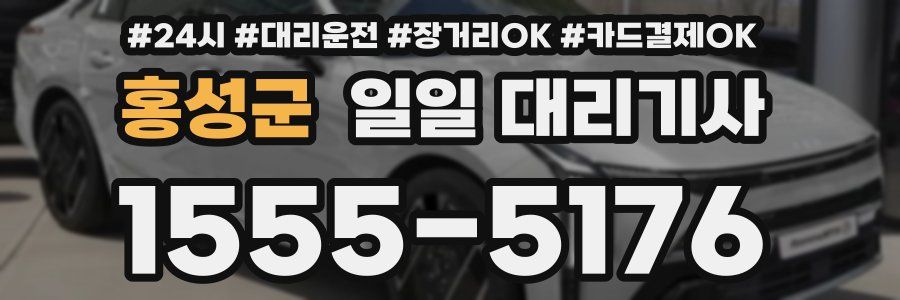 홍성군 일일 대리기사
