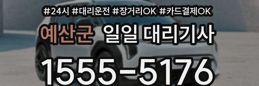 예산군 일일 대리기사