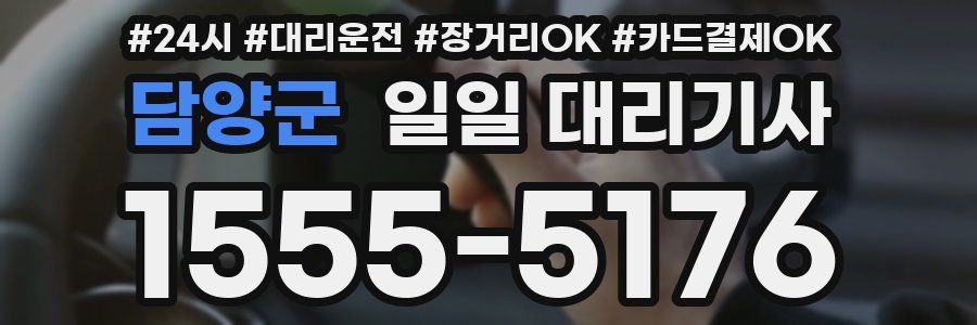 담양군 일일 대리기사