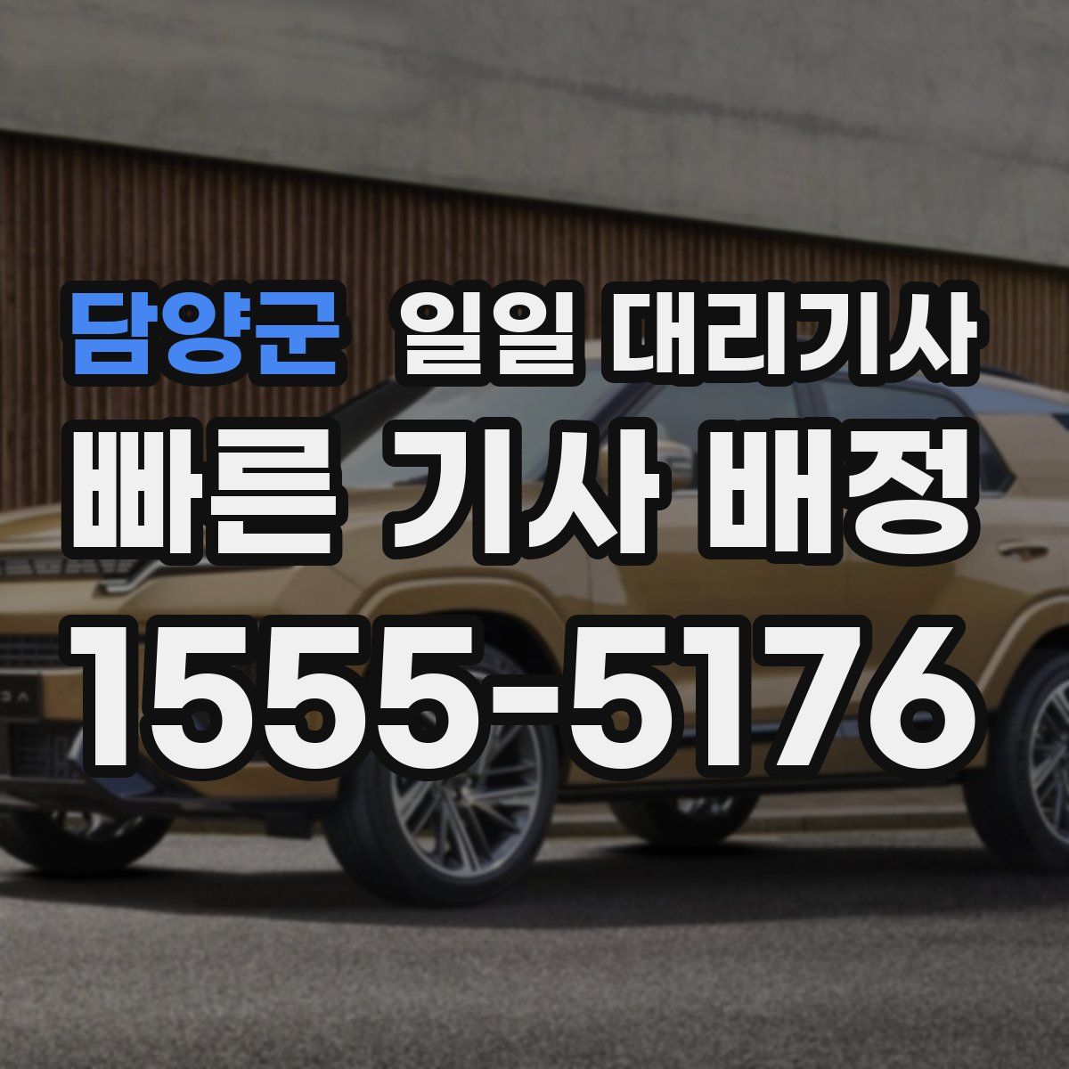 담양군 일일 대리기사