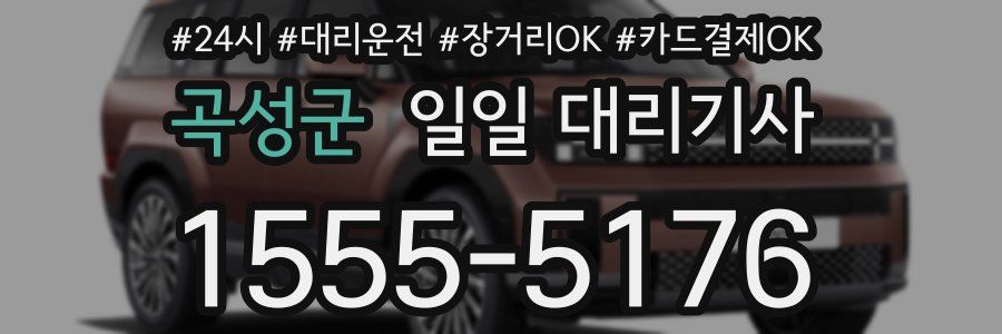 곡성군 일일 대리기사