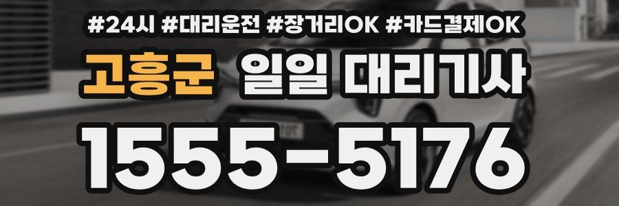 고흥군 일일 대리기사
