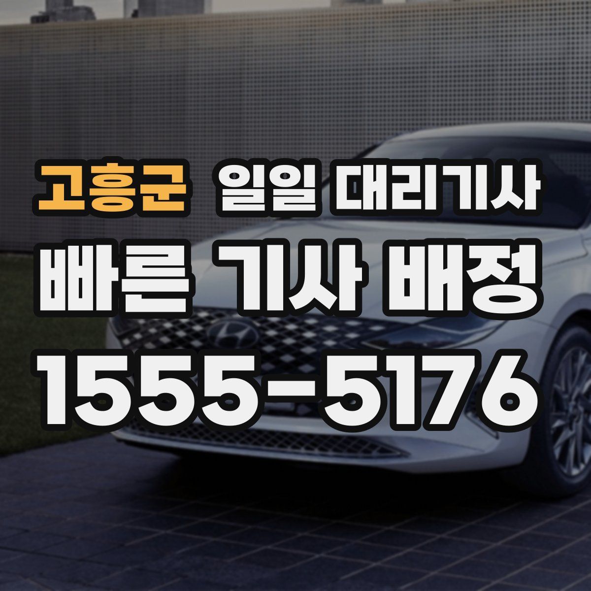 고흥군 일일 대리기사