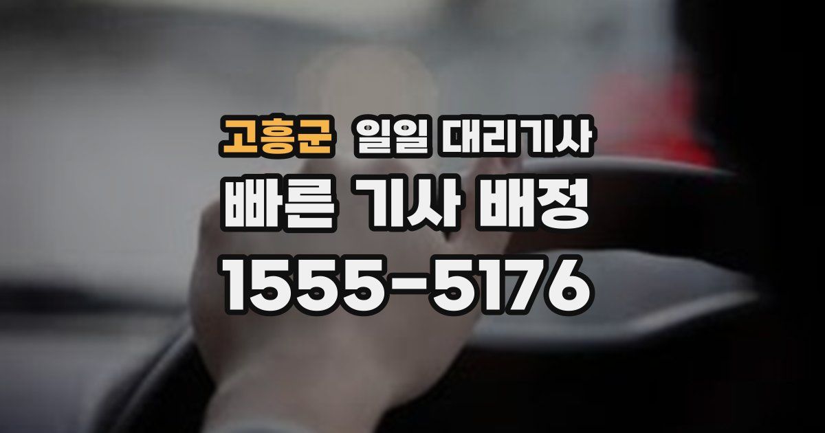 고흥군 일일 대리기사