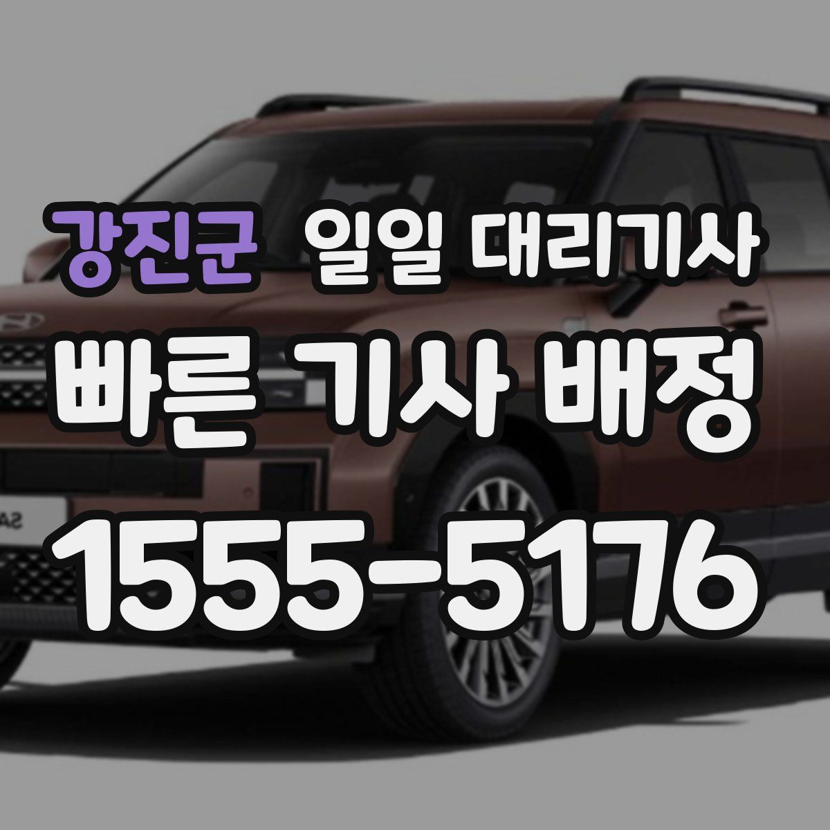 강진군 일일 대리기사