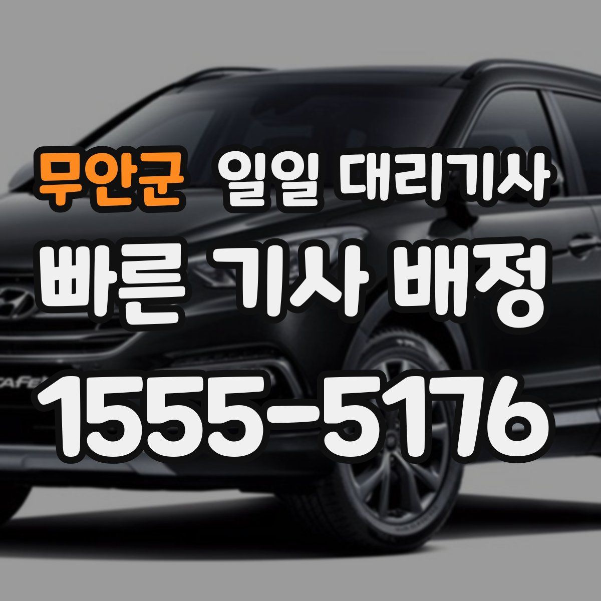 무안군 일일 대리기사