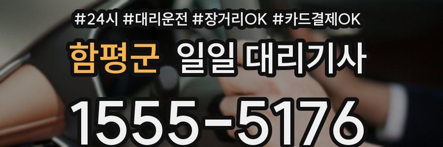함평군 일일 대리기사