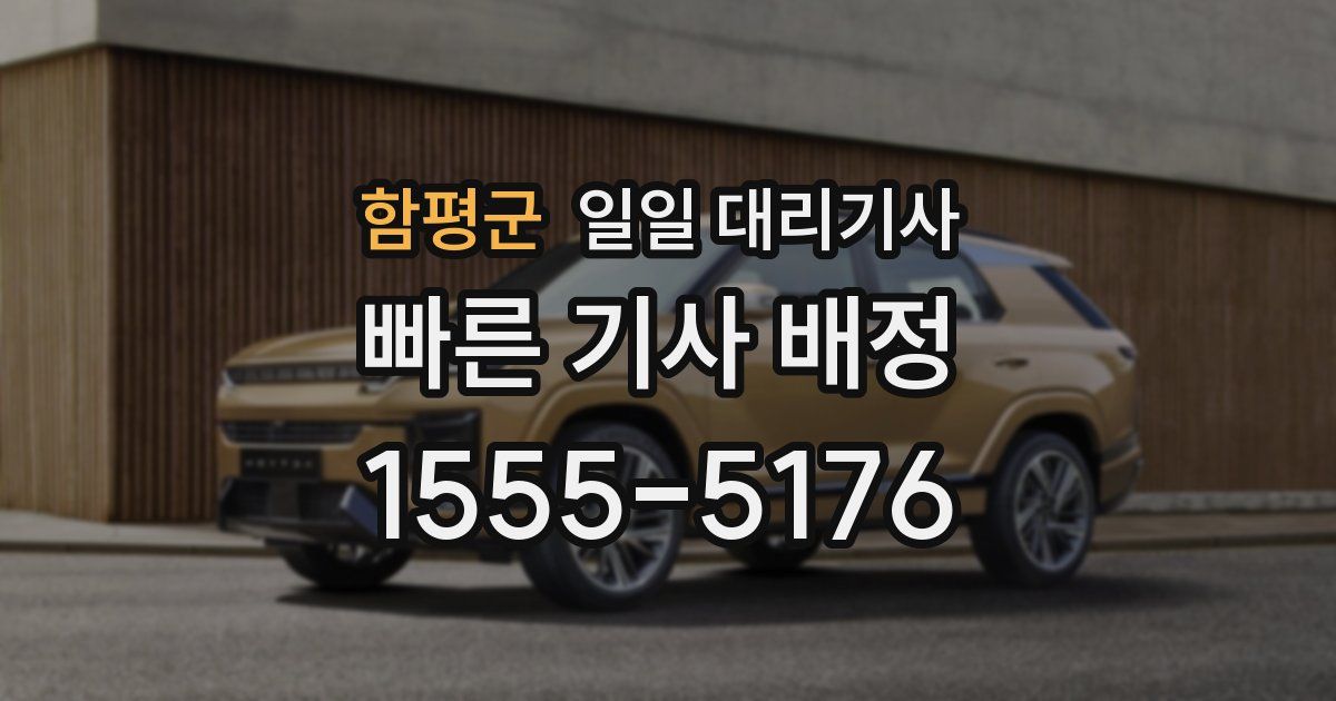 함평군 일일 대리기사
