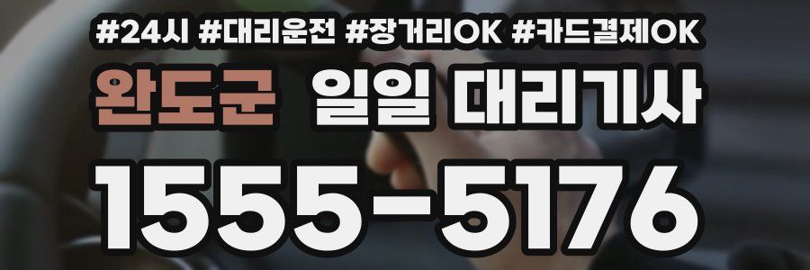 완도군 일일 대리기사