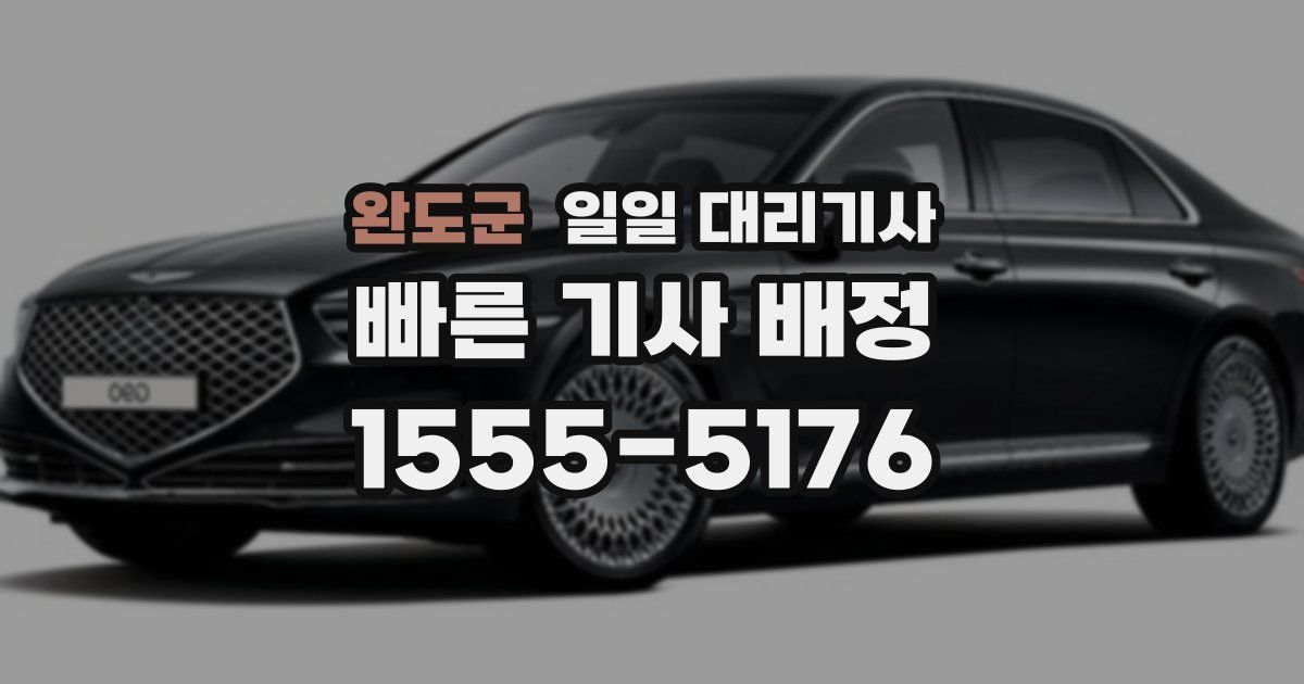 완도군 일일 대리기사