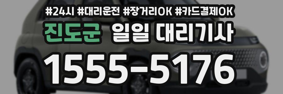 진도군 일일 대리기사