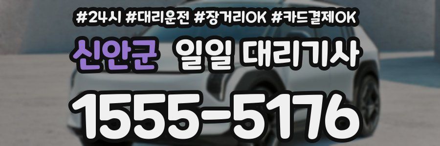 신안군 일일 대리기사