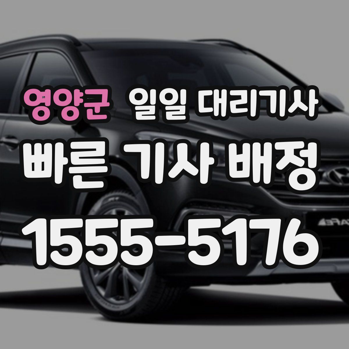 영양군 일일 대리기사