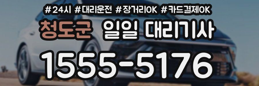 청도군 일일 대리기사