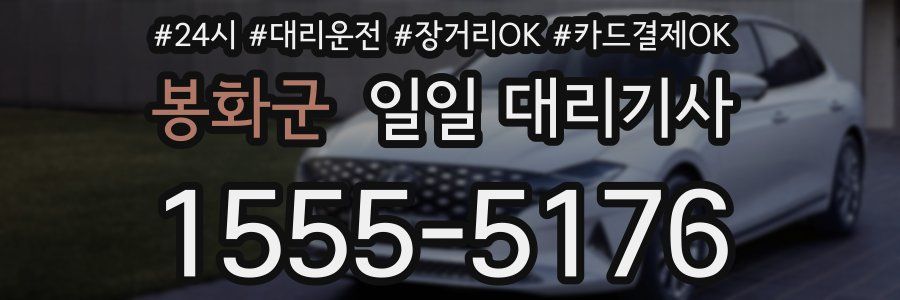 봉화군 일일 대리기사