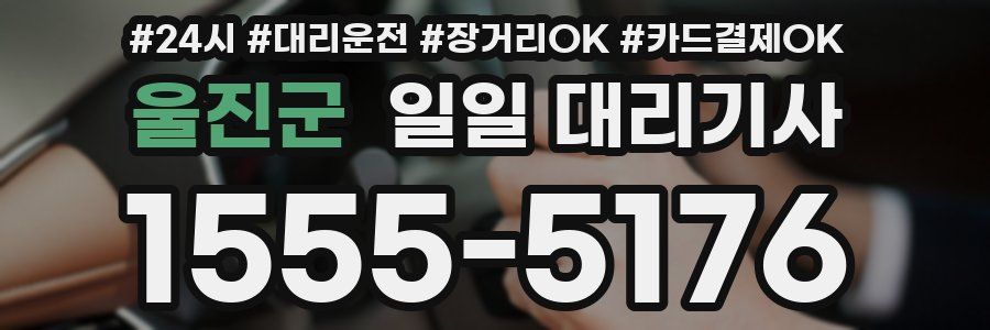 울진군 일일 대리기사