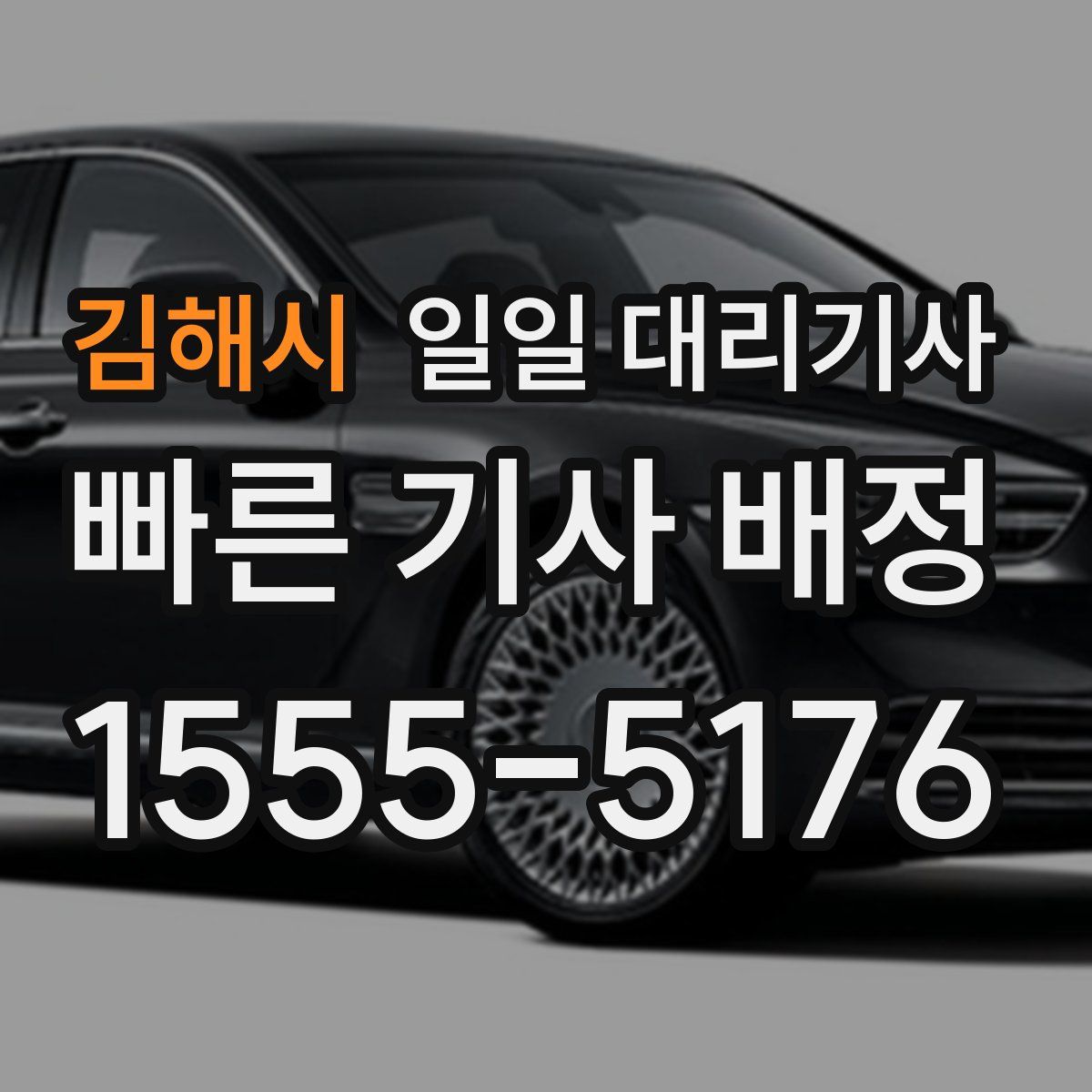 김해시 일일 대리기사