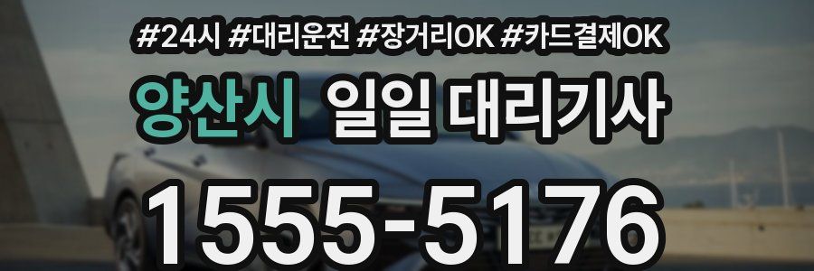 양산시 일일 대리기사