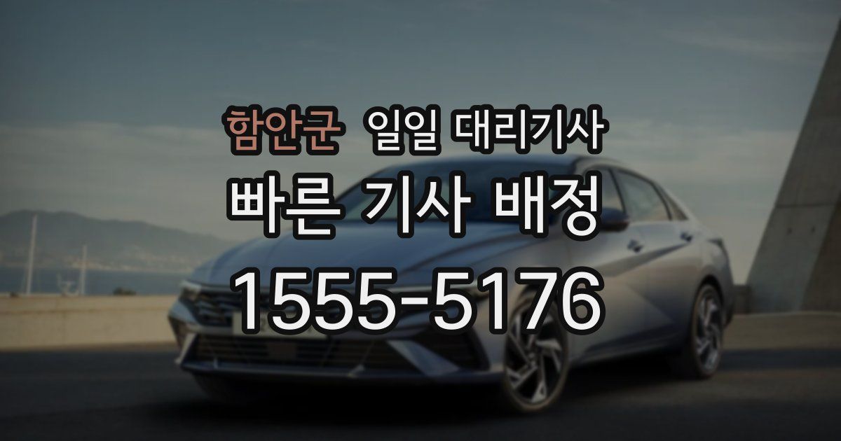 함안군 일일 대리기사