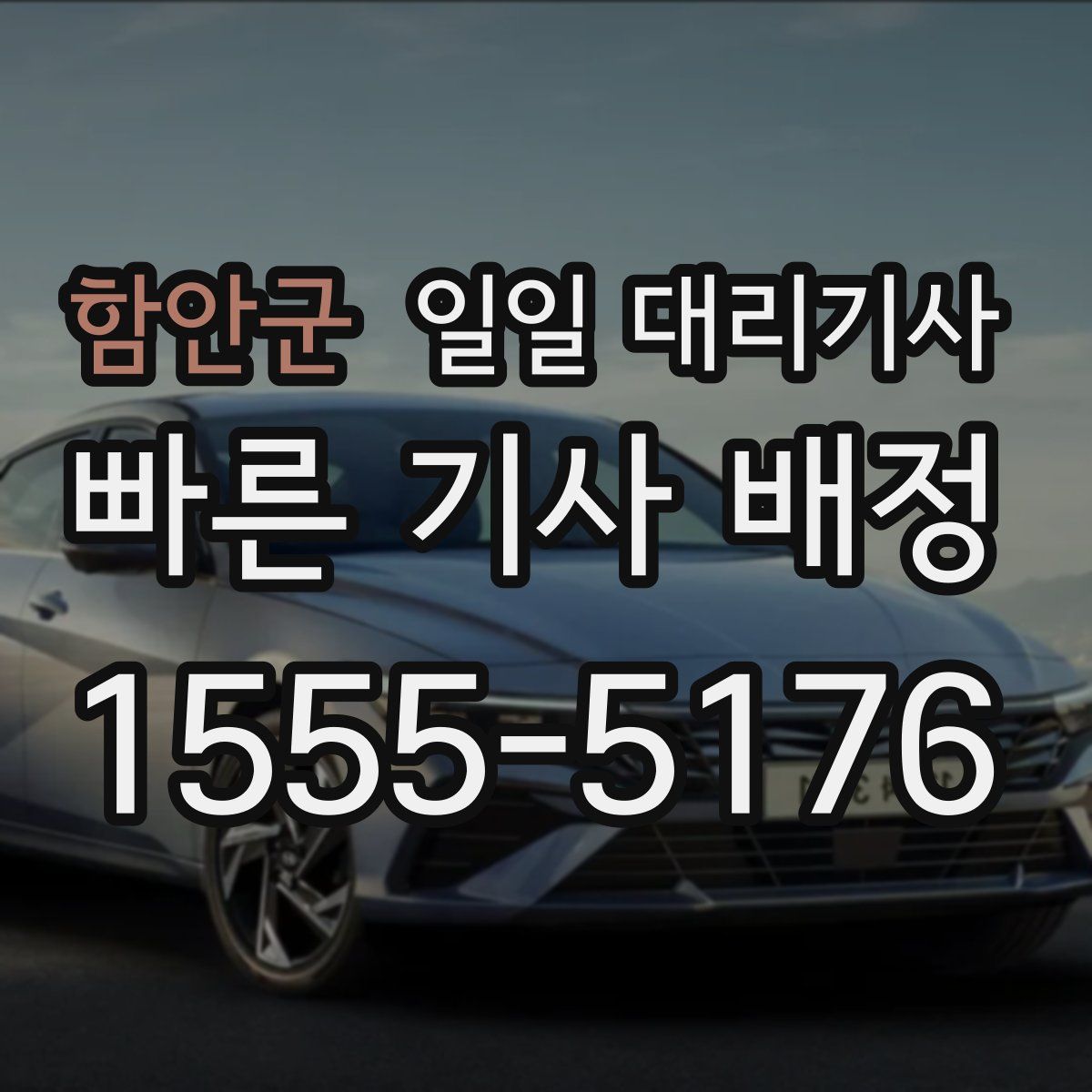 함안군 일일 대리기사