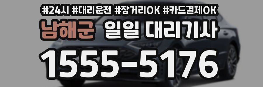 남해군 일일 대리기사