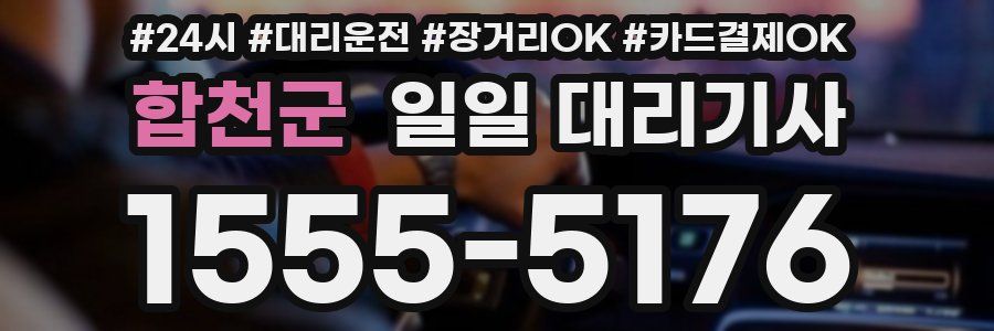 합천군 일일 대리기사