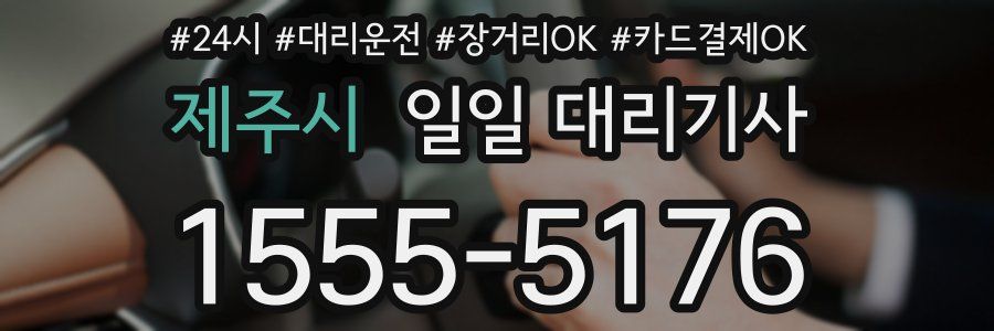 제주시 일일 대리기사