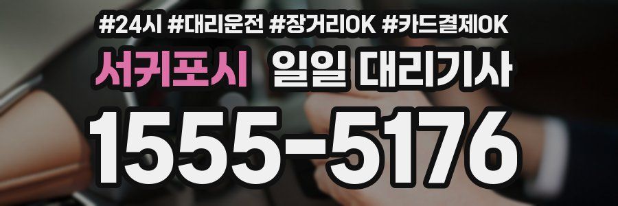 서귀포시 일일 대리기사
