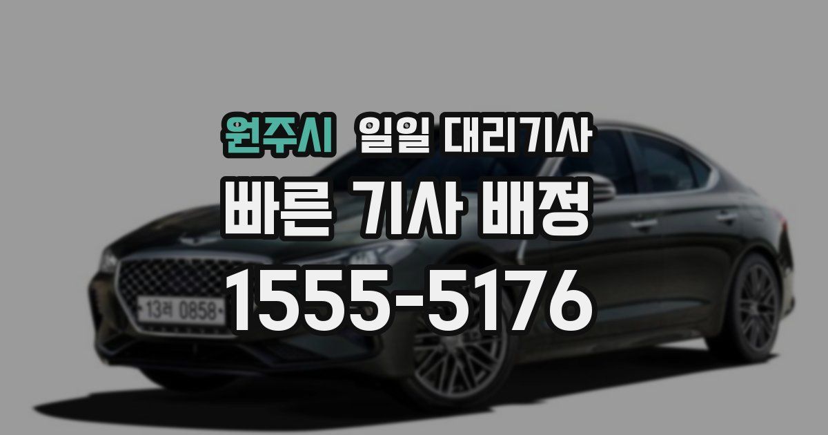 원주시 일일 대리기사