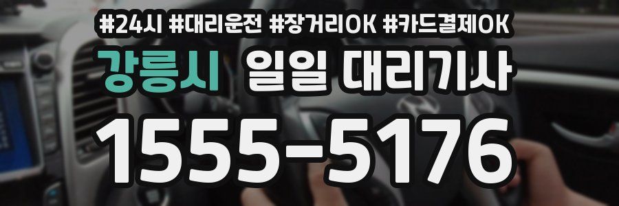 강릉시 일일 대리기사