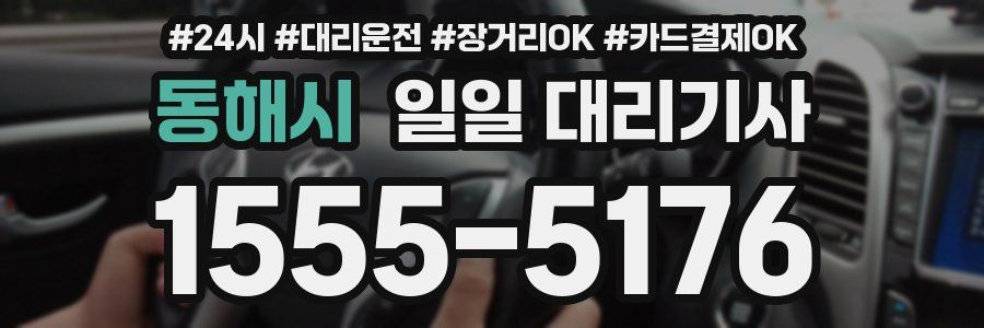 동해시 일일 대리기사