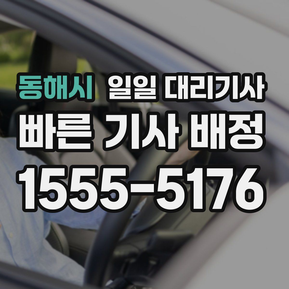동해시 일일 대리기사