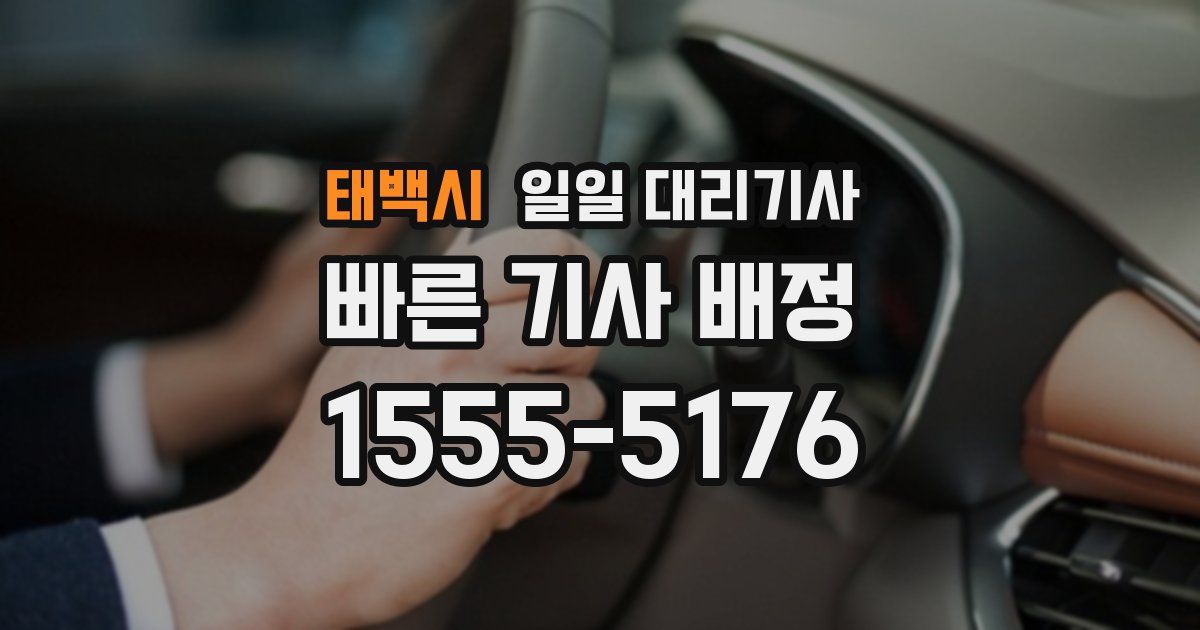 태백시 일일 대리기사