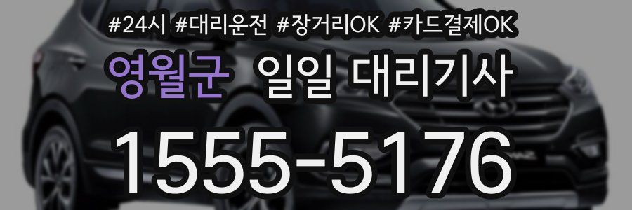 영월군 일일 대리기사