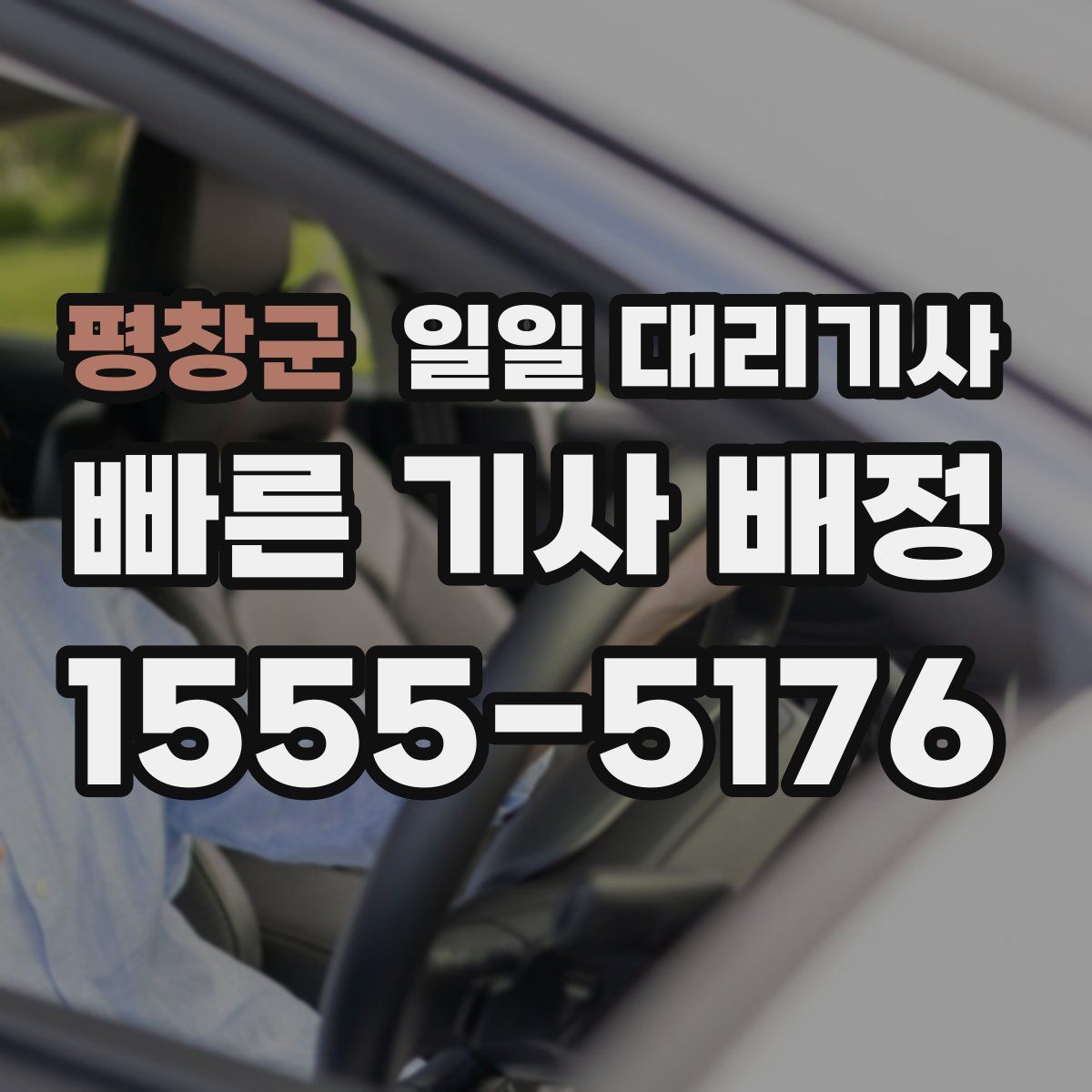 평창군 일일 대리기사