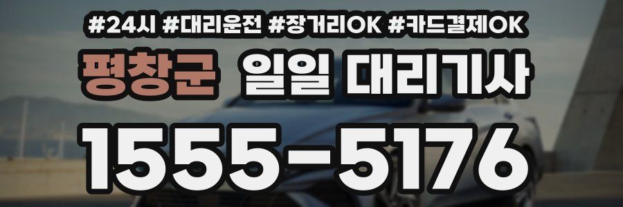 평창군 일일 대리기사