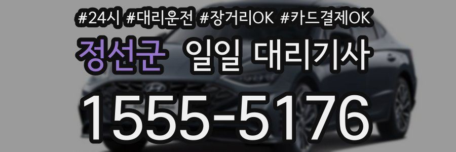 정선군 일일 대리기사