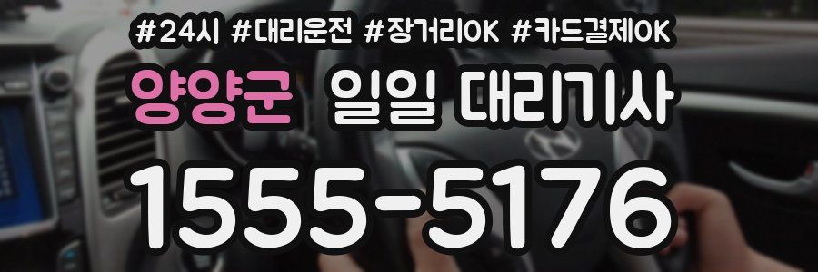 양양군 일일 대리기사