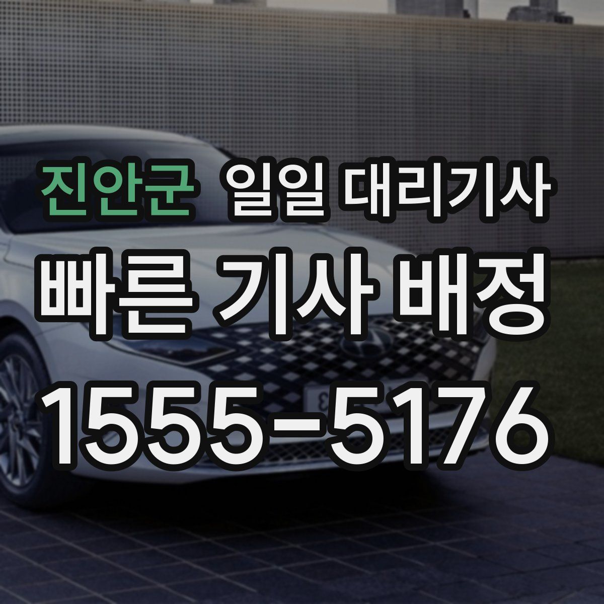 진안군 일일 대리기사