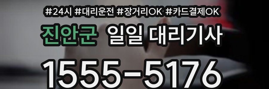 진안군 일일 대리기사